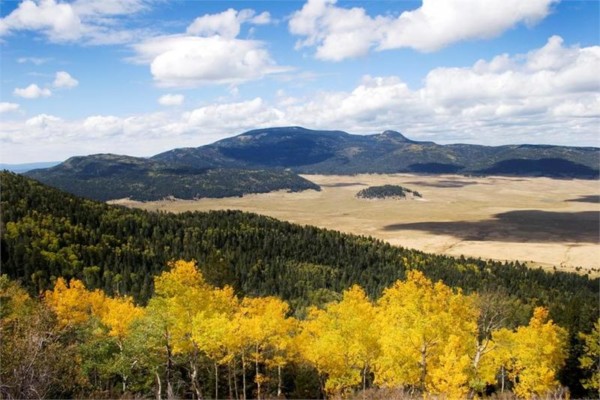 Valles Caldera National Preserve