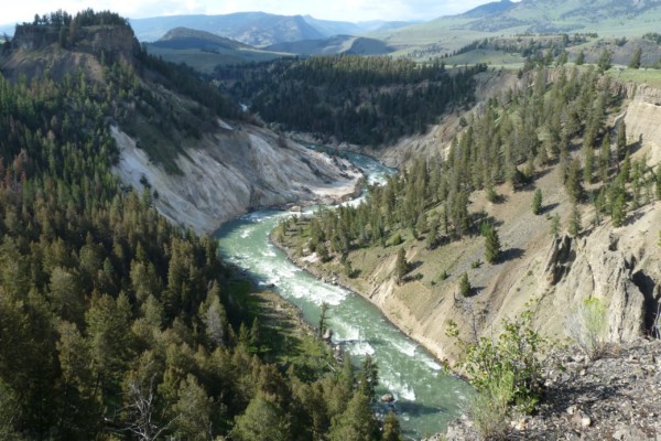 Grand Canyon of Yellowstone