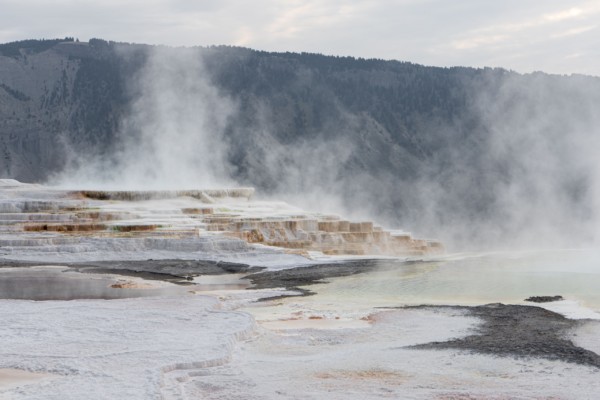Mammoth Hot Springs