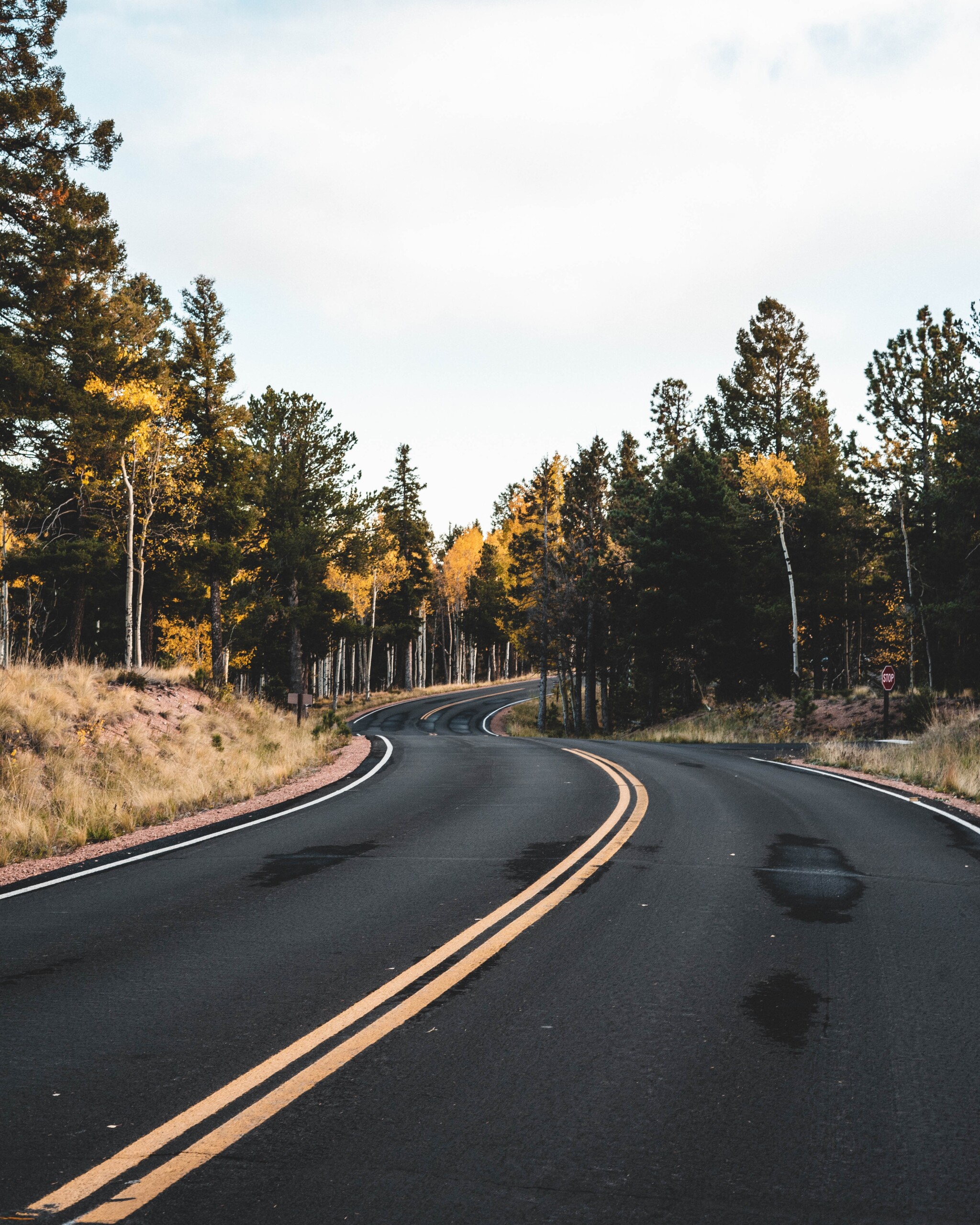 evan-clay-Qbl84XVPvCw-unsplash winding Colorado road in fall
